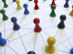 kaiyun登录入口-国足换人策略与比分变化关系，国足换帅一说的准确性到目前依然无从核实