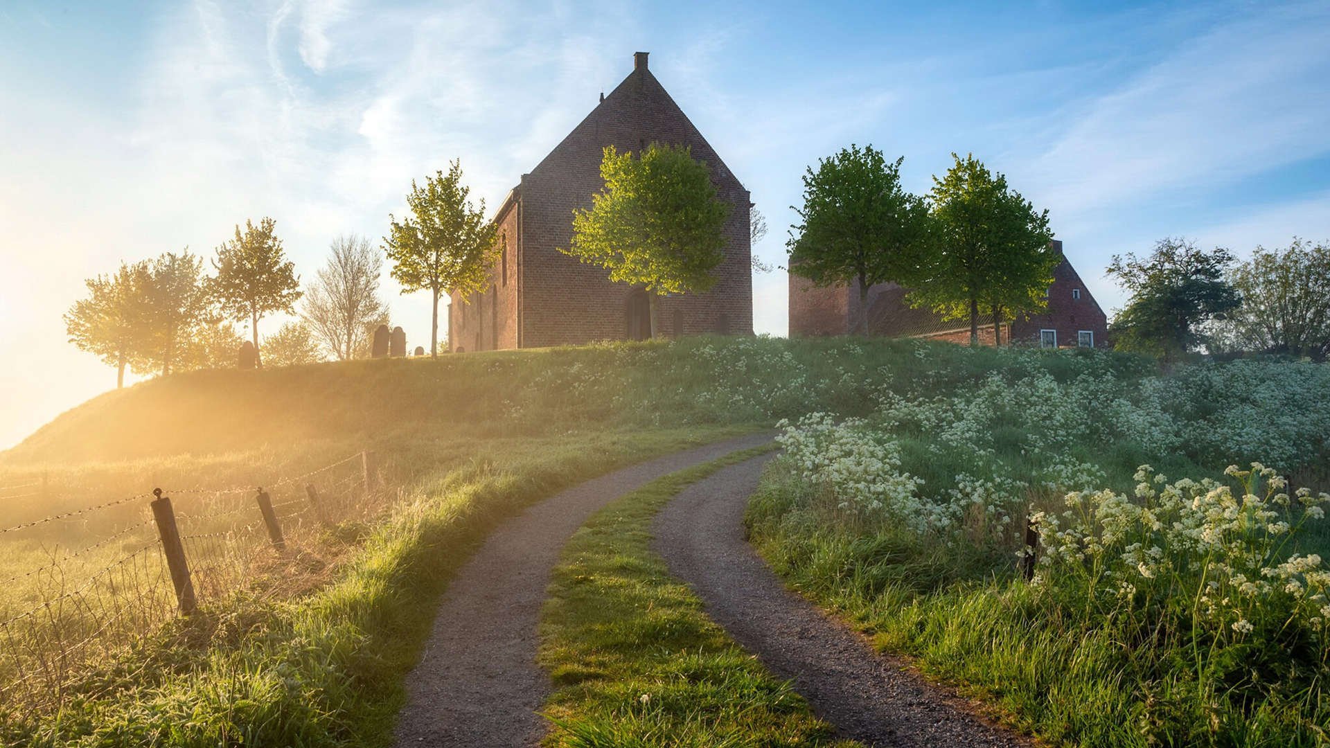 德甲俱乐部运营成本结构改革与投入回报统计，德甲球队盈利