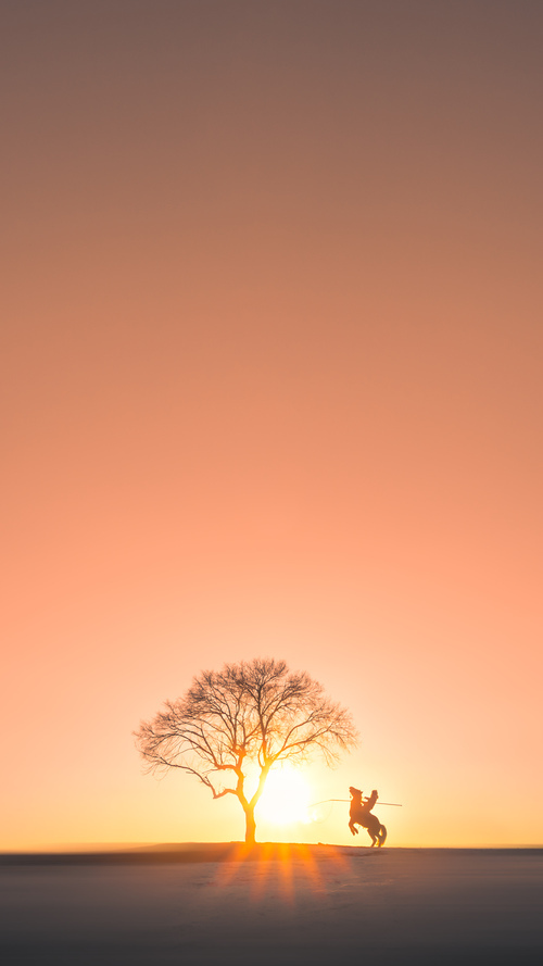 篮球专项体能训练中的疲劳监测技术应用，篮球体能训练百科