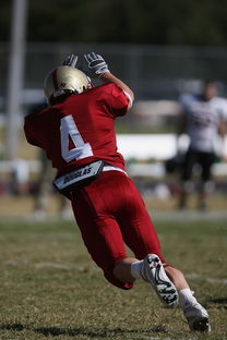 开云kaiyun-五大联赛最具统治力的球队如何打造，五大联赛良心球队