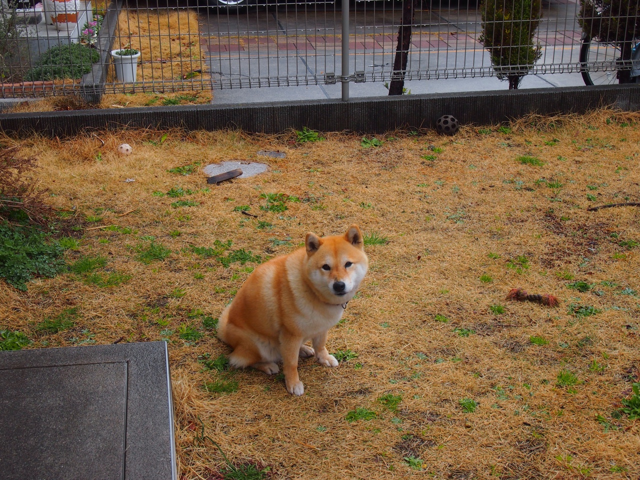 体育新闻中心发布体育数字传播平台建设方案，体育数字化建设