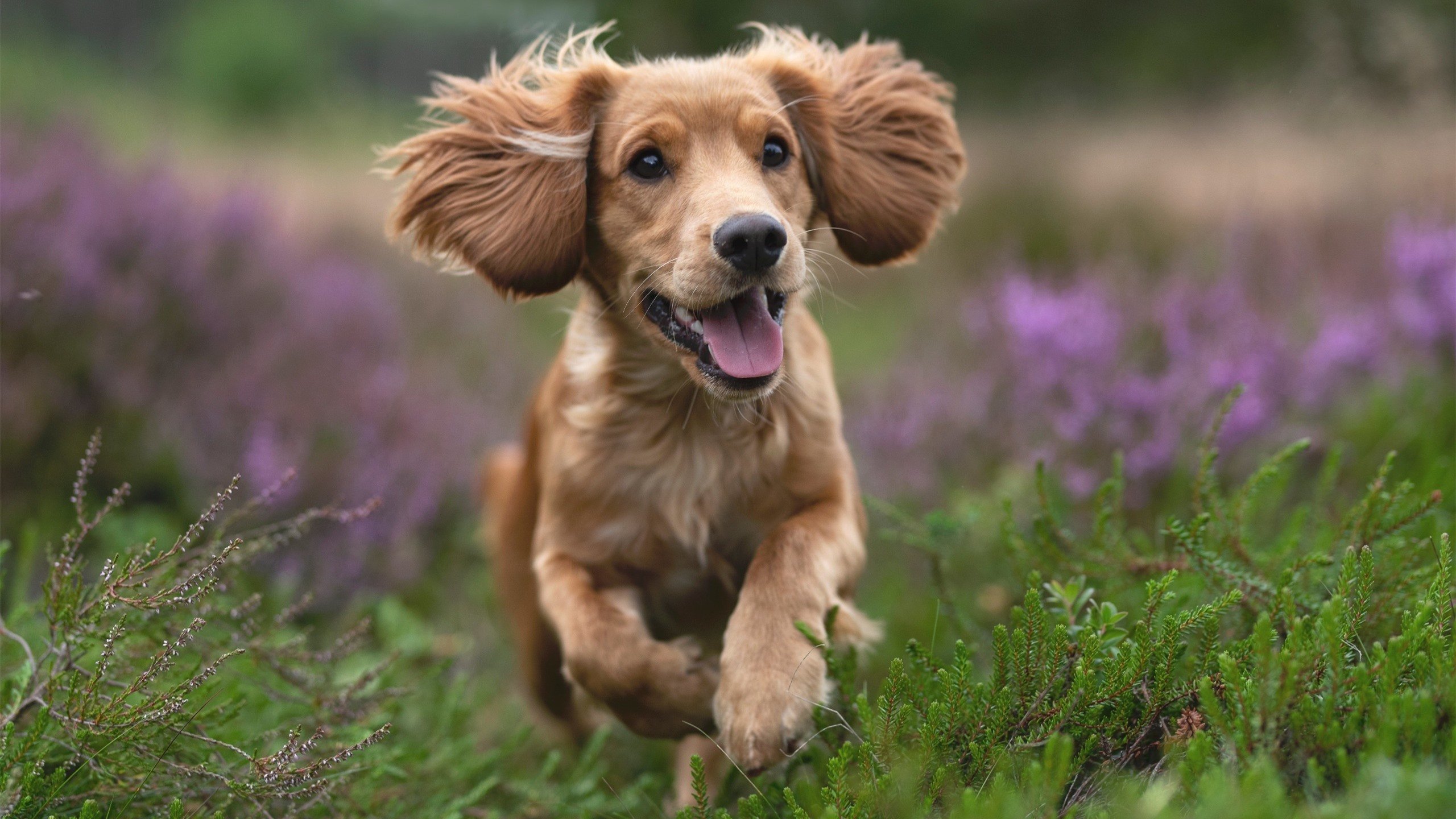 体育新闻中心启动体育融媒体实训基地认证项目,体育媒体平台