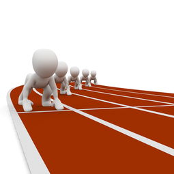 开云·体育官网APP下载-体育新闻中心推动区域全民健身内容分级服务体系，全民健身新闻报道