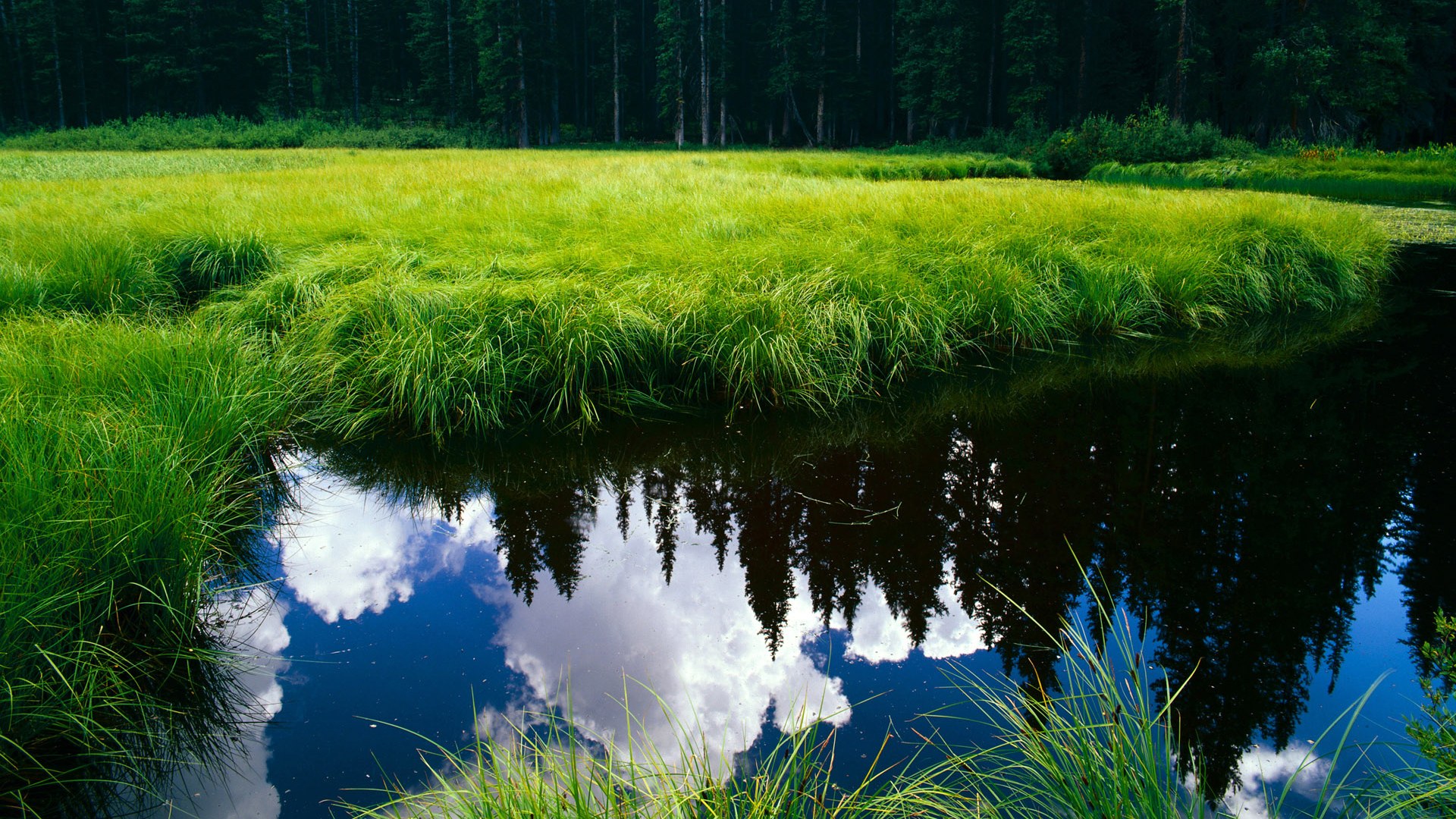如何通过节奏调整破解高强度防守体系，如何防守节奏好速度快的人
