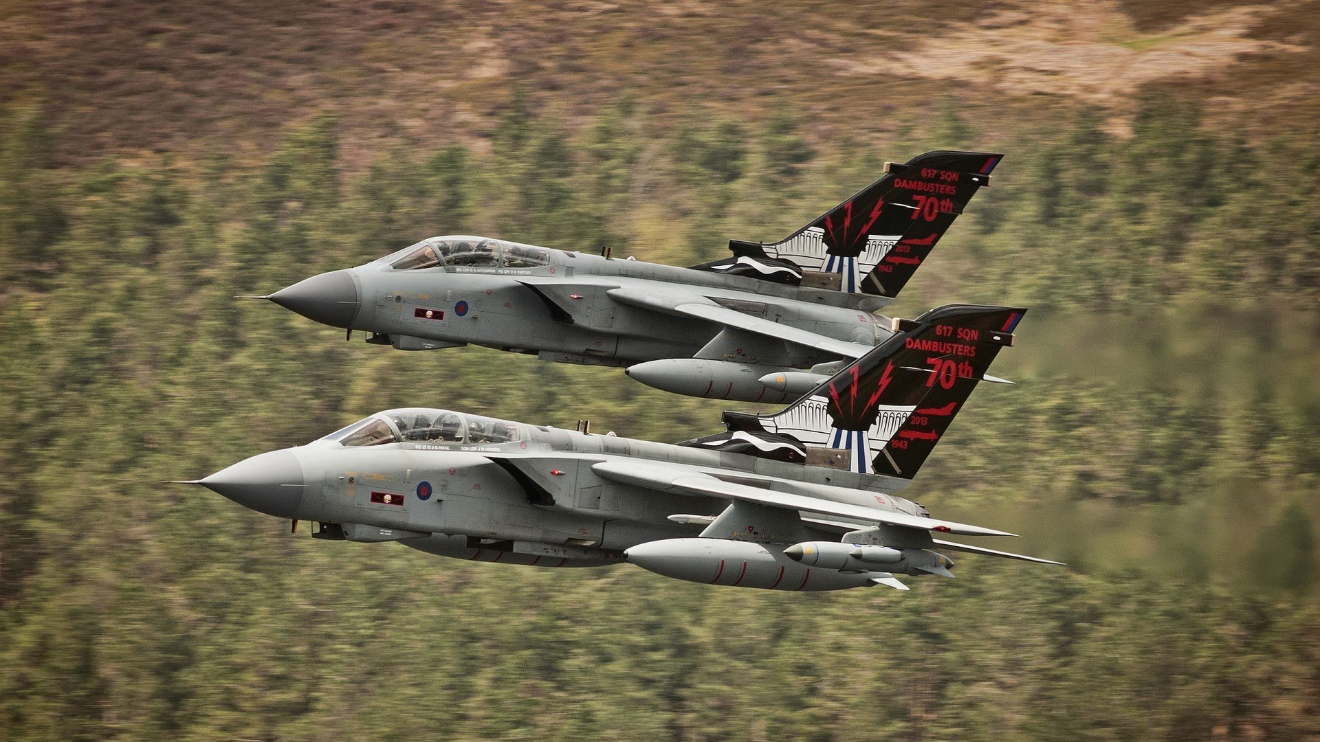 男泳老将稳健领航，男游泳冠军是谁