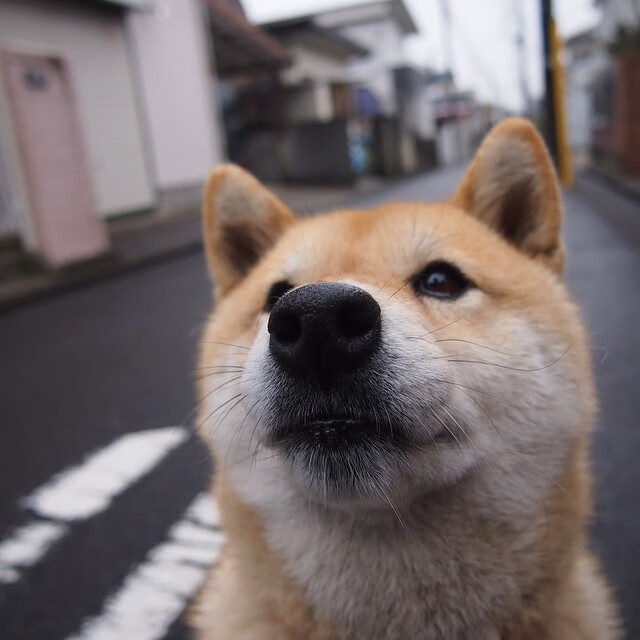 联赛风格转变如何影响战术板球队选择，nba战术板
