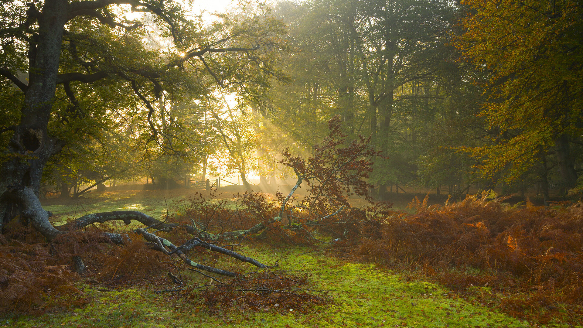 开云网页版登录入口-世界杯场场精彩：扣人心弦的逆转与绝杀，世界杯w