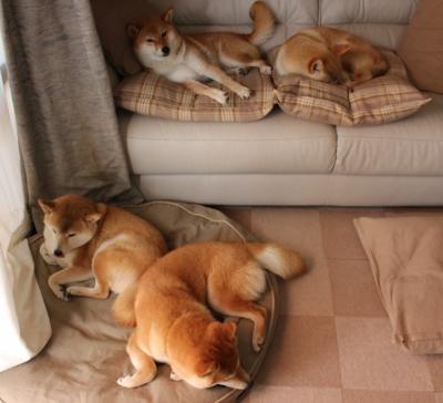 Kaiyun(中国)开云-全黑队通过配合默契的突破迅速拉开比分差距，全黑通关