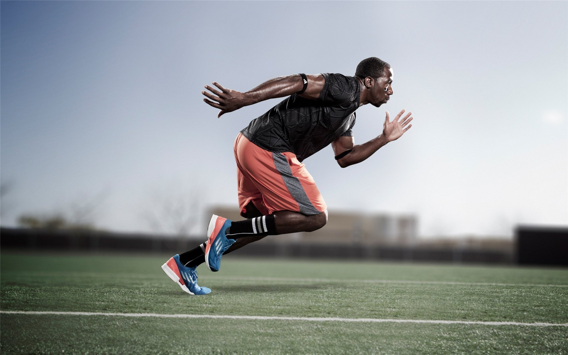 体育新闻中心开展体育多语种内容创作培训计划，体育培训文件