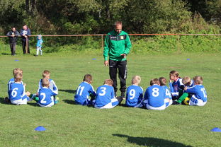 开云app安装-新加坡队在国际乒联混合团体世界杯的战术执行力与技术突破，乒乓 新加坡